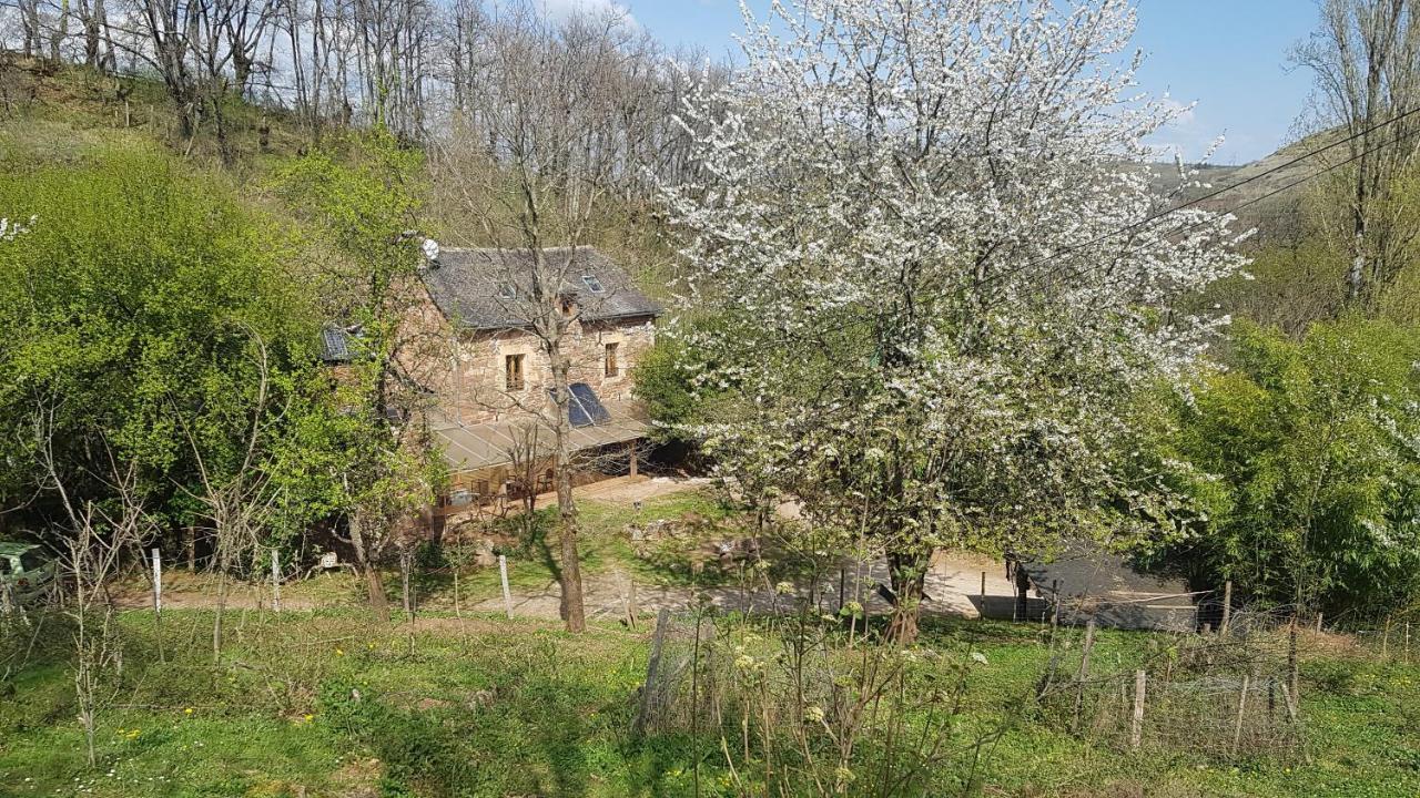 Maison Isolee Dans Les Vignes Et Les Bois Valady Bagian luar foto