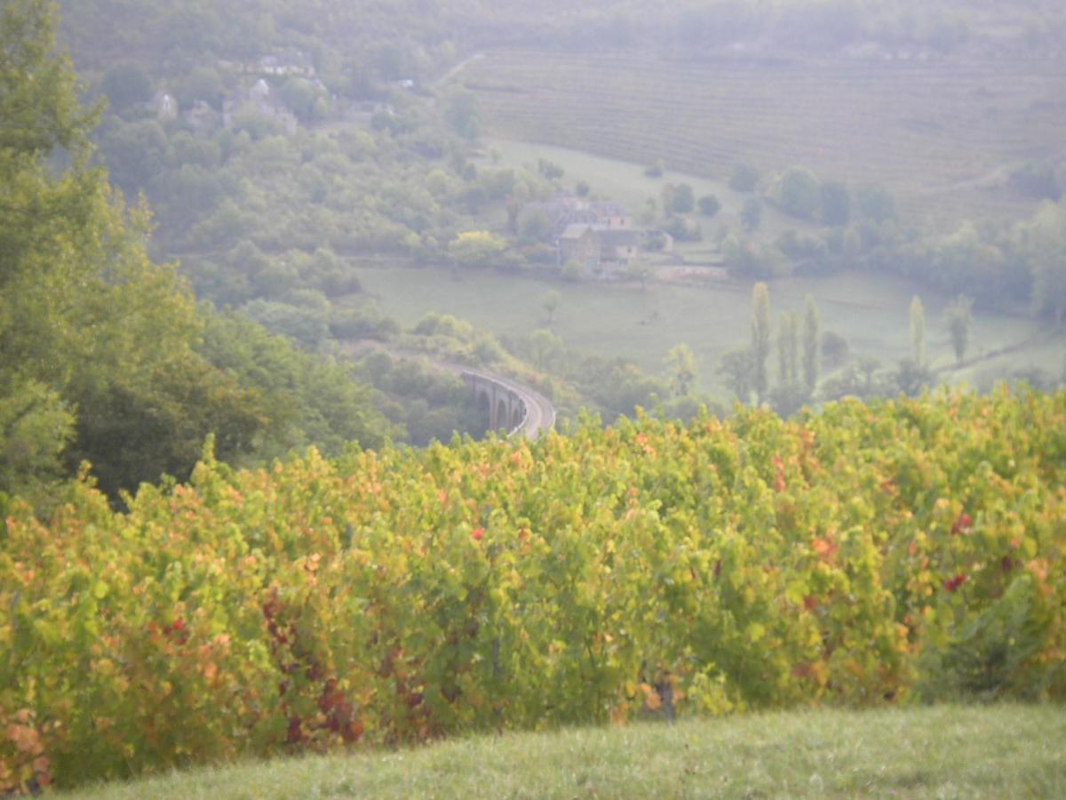 Maison Isolee Dans Les Vignes Et Les Bois Valady Bagian luar foto