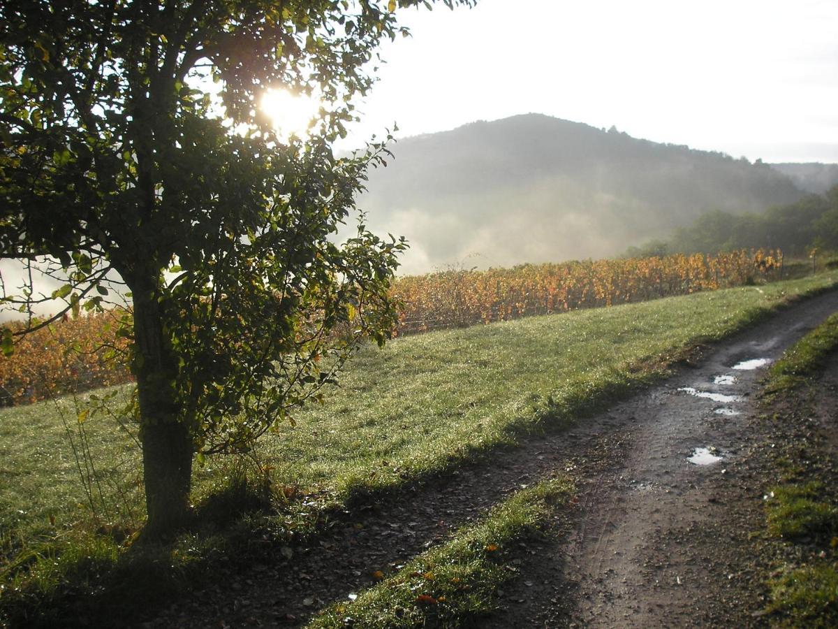 Maison Isolee Dans Les Vignes Et Les Bois Valady Bagian luar foto