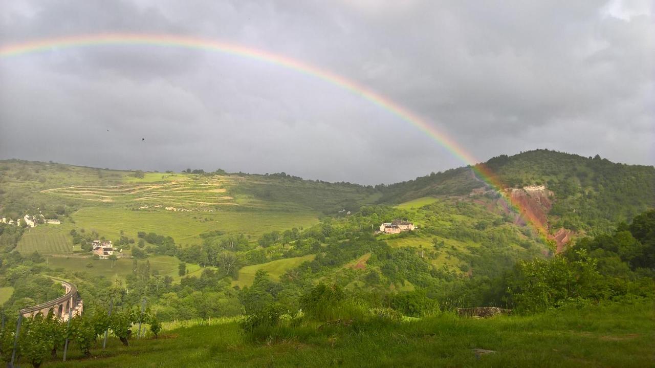 Maison Isolee Dans Les Vignes Et Les Bois Valady Bagian luar foto