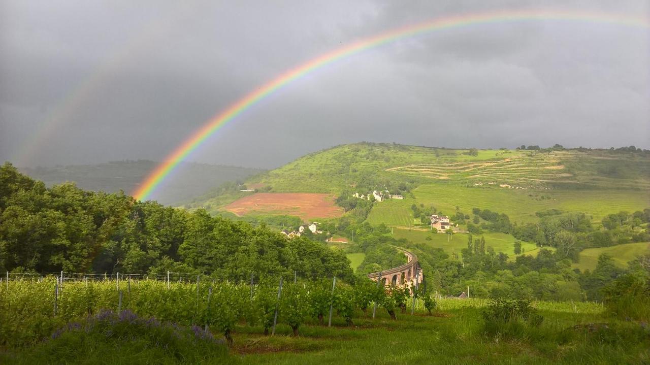 Maison Isolee Dans Les Vignes Et Les Bois Valady Bagian luar foto